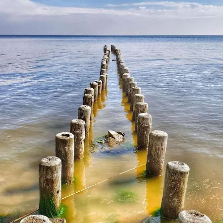 Coastal Garden Daire *