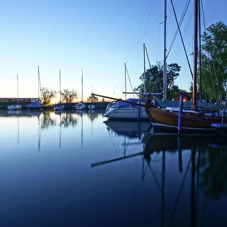 Daire Coastal Garden
