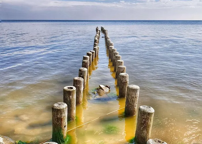 Coastal Garden アパート *